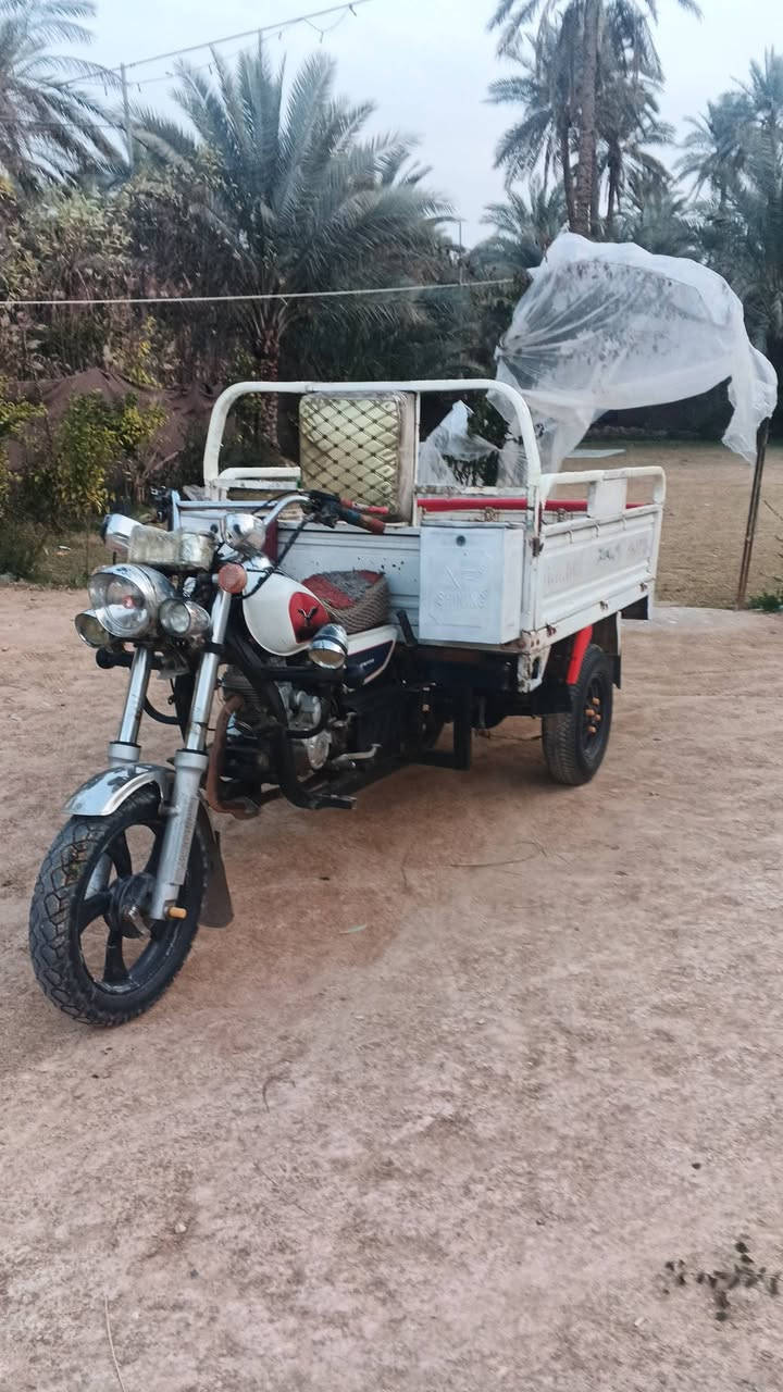 يا الله سلام عليكم ستوته موديل 20وبيه محرك جديد 24 اوراق اصولي مكاني طوريج سعر 1350 وبيه مجال ***********
***********
