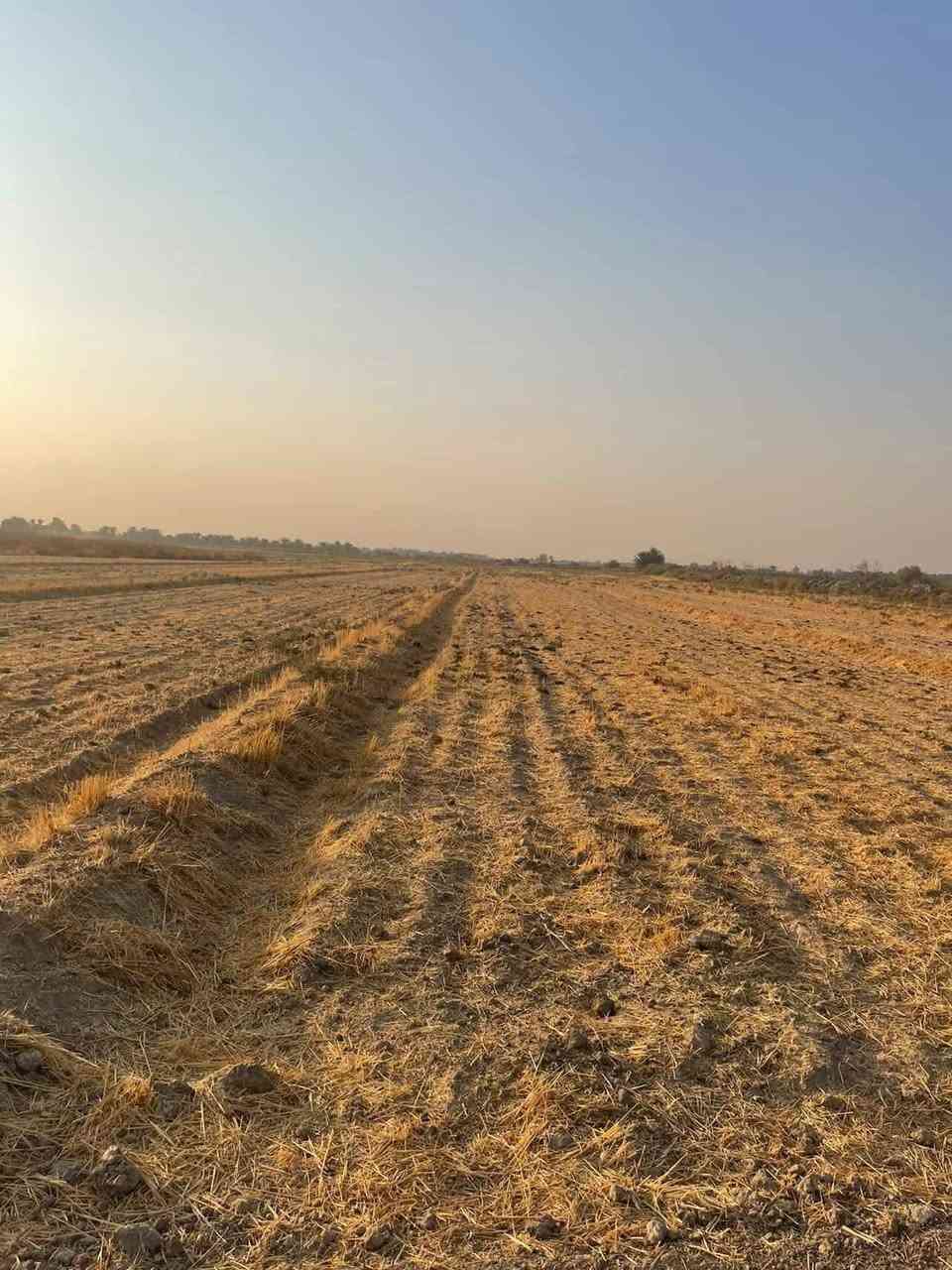 قطعة ارض طابو زراعي متوفرة من واحد دونم الى عشرة دونم موقعها الشوملي منطقة الجوادية قرب نهر عتاب مجاوره إلى البو گزار يتوفر فيها ماء وكهرباء وطريق وصالح للسكن والزراعة للاستفسار الاتصال على رقم صاحب الارض بشكل مباشر
***********
 ***********
