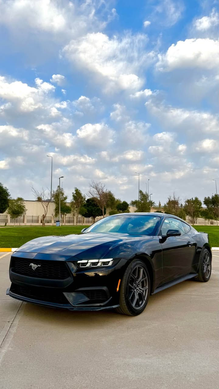 Ford Mustang Performance Package 2024
الي عشاق التميز والمختلف 
المواصفات 
فچوج (Brembo) الامامي 6بستم والخلفي 4بستم
نضام التعليق كامل معدل : springs Heavy-duty front  
الكير العادي :6سرعات مع ميزه  Match Rev
أوتوماتيكي بـ 10 سرعات
تشغيل عن بعد مع ميزه الريموت اكتف Remote Rev
5 انضمه اكزوز  بلادي دبات كبار صوت طرب 
سايد بريك الاكتروني Drift Brake 
6وضعيات قياده 
داخل السياره جلد لون جملي مميز 
شاشه متصله لتحكم 
شحن وايرلس
محرك السياره 2.3 تيربو بقوه 340حصان
السياره برمجه وتسارع مخيف بلادي يجي فقط ع نسخه البيرفورمانس السياره تختلف عن شكو EcoBoostبل سوك وبيه بعد هواي مواصفات 
حادث السياره جملغ سكن +نص باب السكن السياره جديده ومابيه مصرف جاهزه من كل النواحي 
الشراي يتفضل خاص *********** أربيل, العراق
