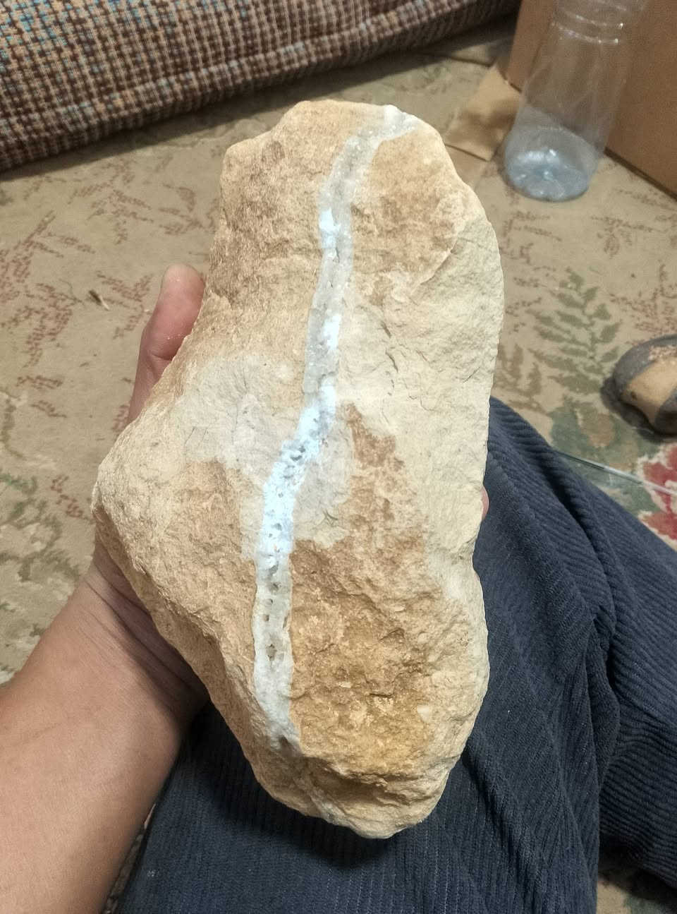 للبيع


**إذا كنت صاحب هذا الإعلان وتريد حذفه لأي سبب، رجاءا أرسل رسالة إلى الدعم الفني**