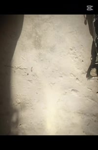 سكنس • ١١٠ • كابريتر