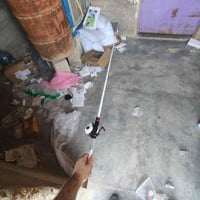 داری راوەماسی