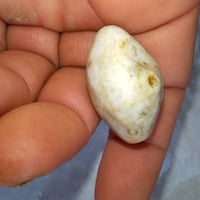 خرزه عطف قديمه محبه عامه جلب الحبيب عقد لسان تسهيل مور جاه وجه طاعه وق...