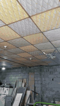 السلام عليكم البيع ستوته كربلايه كفاله عامه مديل 2023 طالع بل ربعه وعشرين رقم وسنويه سعر 3400 وبي مجال مكان بصره كرمت علي هاذ رقمي ***********
