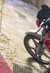 سيفان • ويل امامي • تفصيخ