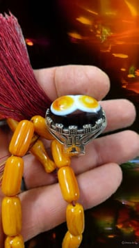 سليماني احمر • قياس ٢٦ • عينتين