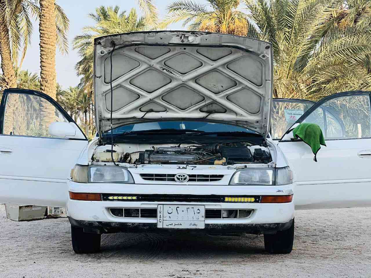 سلام عليكم ورحمه الله وبركاته 
كورله للبيع 
مكفوله كفاله عامه 
تبريد ثلج 
سنويه ماصاقطه
مصبوغه جماليه فقط 
مكلف بل نشر***********
