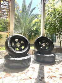 ارخص تخم بوليسي بالسوكك سلام عليكم ورحمة الله وبركاته   تخم ويل بوليسي...