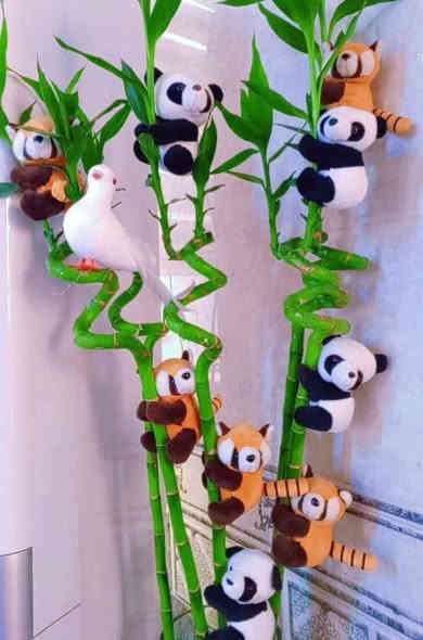 🪴يتوفر لدينا جميع اكسسوارات نباتات وسنادين بلاستك نوعيه ممتازه 🦊🪴 🐼
🚕توصيل كل محافظات العراق 🚕 
🪴الزرع لعرض فقط 🪴 
يتوفر جمله ومفرد 🐼 🦊 
حجز على خاص ☎️
📞***********📞

🐼تتوفر لدينا جميع اكسسوارات نباتات 🐼
🪴و سنادين مختلف الأشكال والأحجام والألوان 🕊️🐝🐞🐦🕊️🦋🐦🐞🌿🍄🕊️🐞🦋🐦🍄🌿
متوفر دعسوقات 🐞 🐞🐞🐞
ونحلات لاصقه 🐝🐝🐝🐝🐝
وفراشات 🦋🦋🦋🦋🦋🦋
فطر زينه 🍄🍄🍄🍄🪴💕
1-🐼باندا او سنجاب  🐼 
 2- فطر جيس الف🍄
3-🐞دعسوقه صغير حمراء ٤٠ قطعه با الف🐞
4-🐞وسط ٢٠ وسط جيس الف 🐞
5-🐞دعسوقة خشن ١٠ قطع با الف 🐞
6-🐞دعسوقة ملون ١٠ قطع الف🐞
7-👍كف ١٠ قطع الف 👍
8-🐦عصفور ٥٠٠ القطعه 🐦
9-🪴غصن مترين رفيع  الواحد الف 🪴
10-🎊نشر ضوئيه مترين الف 🎉🎊
11-🌹🐝نحله صفراء ٤٠ قطعه با الف🌹🐝
12-🌹🍄نحله وسط ١٥ قطع الف🐝🐝
13-🌹🦋🦋🌹فراشه عاديه لصق وجهين و مغناطيس ١٠ قطع با الف🦋
14-❤️جيس ١٠ قطع  ماسك لبلاب كف 
١٠ قطع الف👍
15-🍄١٠ قطع فطر اكبر شويه الف 🍄
16-🕊️حمام وسط الف🕊️
17-🕊️حمام كبير الفين 🐝🕊️
18-🪴ماسك لبلاب الف 🌿
🦋
19- فراشات سيم صغيره  ٤ سم 4 با الف🦋
🦋٧ سم ٣ با الف🦋
🦋٨ سم و ٩ سم  ٢ با الف🦋
20-فطر ملون صغير 10 با الف🍄
21-دعسوقة ام عوده ملون جيس 10 قطع الف
22-فطر احمر كبير او صغير جيس الف🍄
23-فطر ملون  صغير او كبير جيس الف 🍄
🪴الزرع لعرض فقط🪴 
#توصيل كل #محافظات_العراق
#بغداد #ناصريه #نباتات #ديوانيه #زرعاتي #سنادين_ورد #ديكورات #نباتات_منزلية_داخلية #نواعم #بابل #البصره #ديالي #واسط #المثني #ديكورات_خشب
#سناد #سناد_زرع #نباتاتي
