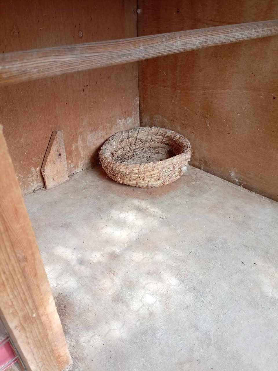 السلام عليكم
متاح خانات ام 6 نظيفات اخو الجديد ترهم للطيور ودجاج الزينه والكوكتيل سيم بي ار سي قياساته طول 196 يعني مترتين اله 4سانتيمات والارتفاع 104 يعني متر و4سانتيمات والعرض 55 سم سعر الخانات و6مئكليات و6 حلات عشوش و1مشربيه كلهن ب60


**إذا كنت صاحب هذا الإعلان وتريد حذفه لأي سبب، رجاءا أرسل رسالة إلى الدعم الفني**