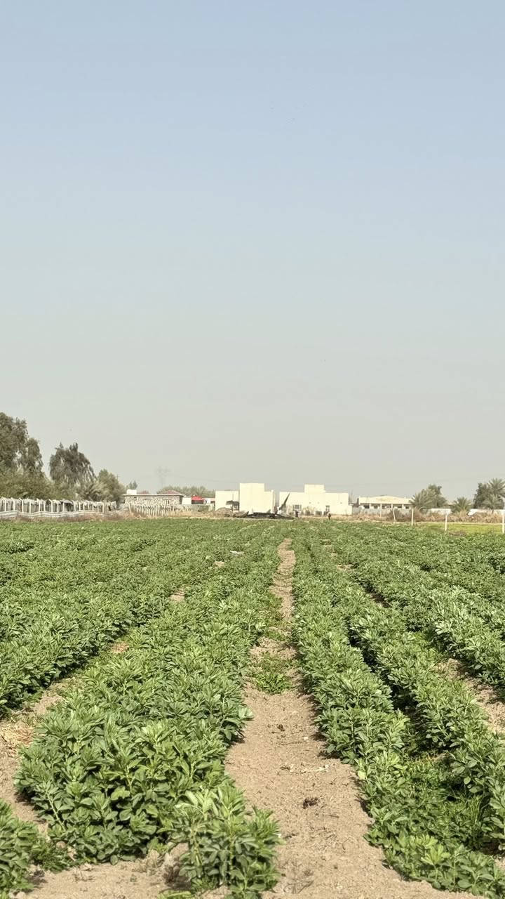 السلام عليكم 2 دونم للبيع على شارعين كل الخدمات متوفره البيع حسب الطلب 
***********
