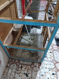 نظيف • قابل تفاوض • ديكور منزلي