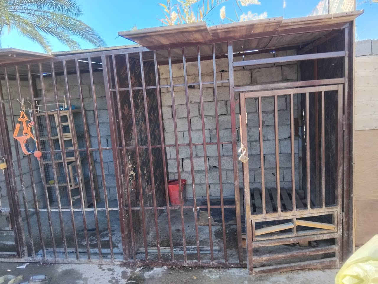 لببع تفاصيل خاص الرقم ***********
