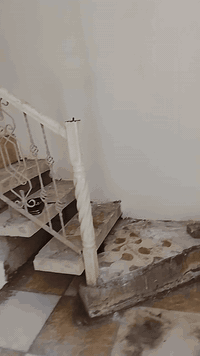 السلام عليكم 
مشتمل طابق ثاني حديث  للإيجار بداية الفرع المقابل لمركز شرطة الهويدر يتكون من غرفتين نوم وصاله أو مطبخ وصحيات ودرج داخلي للخروج
للإستفسار الإتصال علئ رقم أبو أحمد ***********
