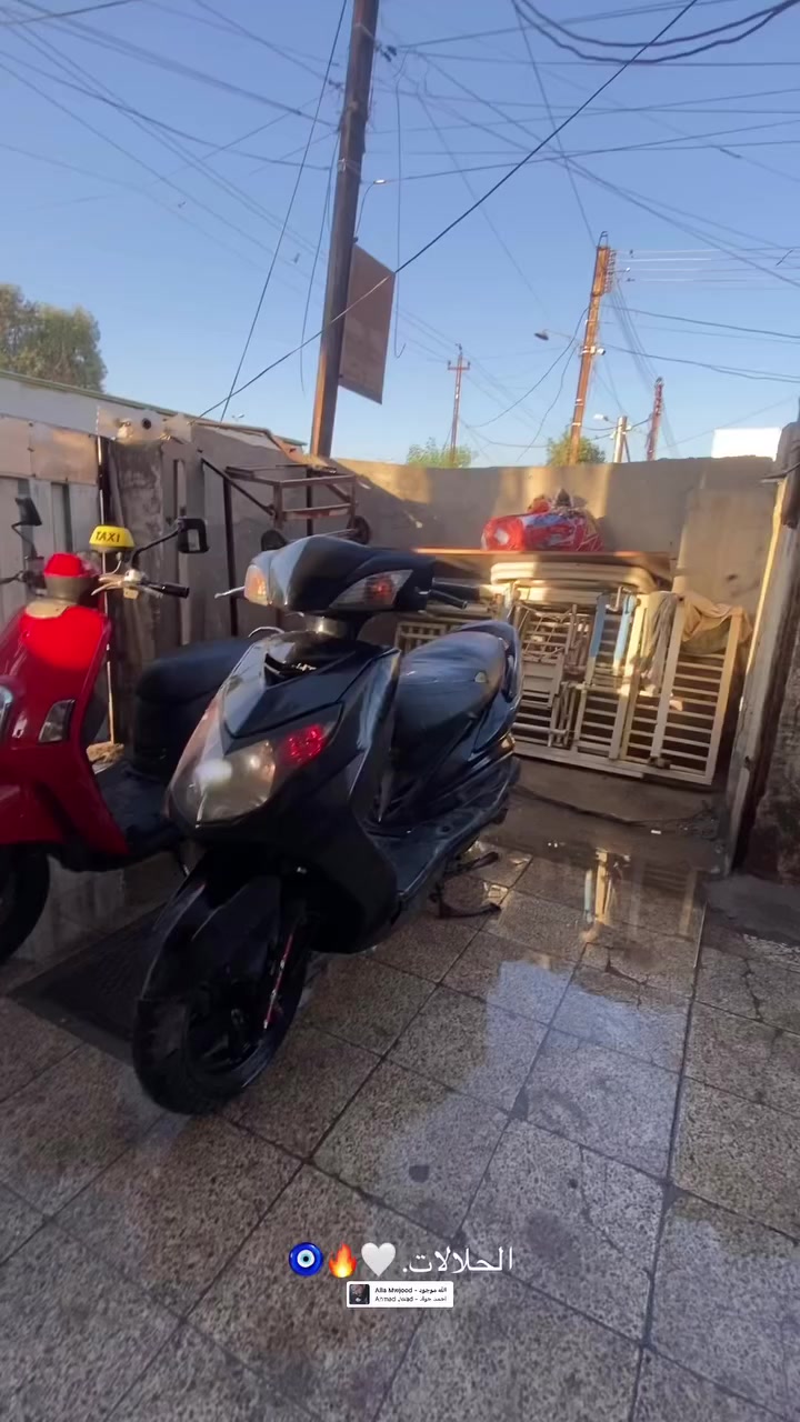 سلام عليكم
سكنس فحل للبيع او مراوس بماكس عدله 

بوشه 58 كلشي شغال بيها سلف كهربائيات كلها شغاله نقصها بس كلجات لان كلجاتها كلش تعبانه دراجه شلعتها ومعدلها تعبانه كلش مكينتها تخبل مابيها ايشي كل 15 يوم ابدللها دهن يورل 

مكاني بغداد حي الاعلام رقمي (***********) موجود واتساب فقط
