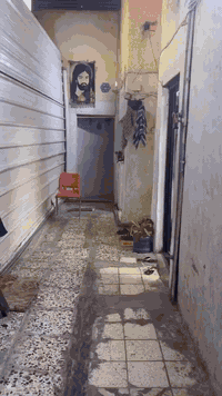 نصف قطعة للبيع أمامية (63م) في قطاع 31 طابق ونص عكادة نضيف (موقع مميز ...