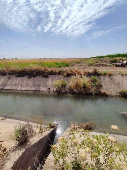 لأصحاب المشاريع والاستثمار 

🌍 ارض للبيع سعر دونم 10 طابو سند 25
المساحه 20 دونم تباع تقطيع خدمات ماء سقي وكهرباء وتبليط أكثر شي ماء سقي لاقربهة على ذراع دجله ي
كما موضح بالتصوير
عنوان التاجي ذراع دجله منطقة الشيخ عامر قرب منطقة بفهد

للاتصال والاستفسار ***********

