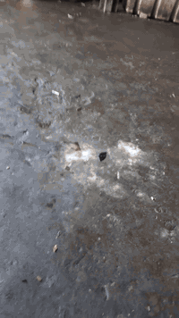 صيانة كربراتير • قطع غيار • مجمع المشن