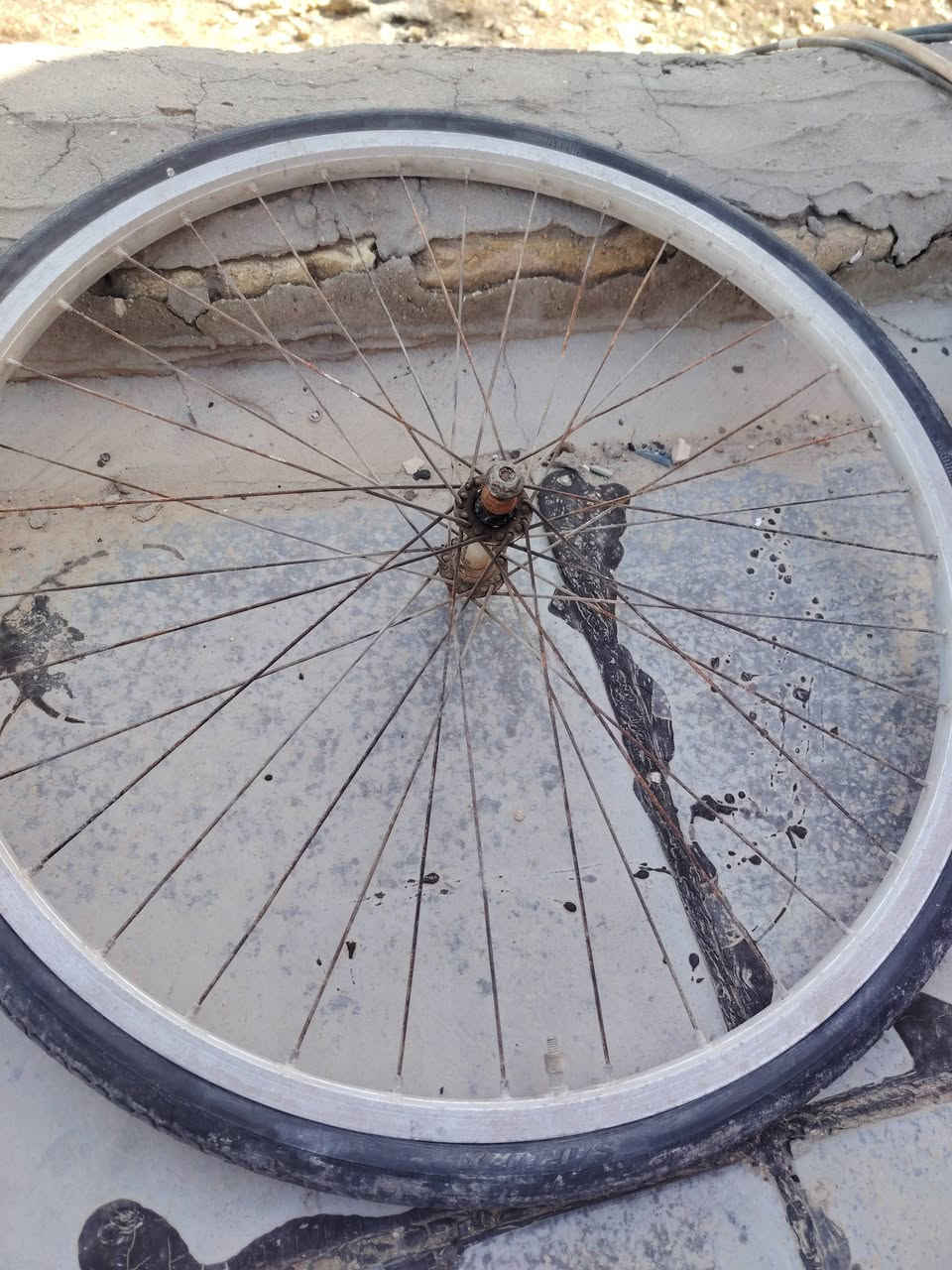 البيع السعر قيم وخذ مال حاويه صليات شراي تعال خاص  مكان الجربوعيه ثانيه


**إذا كنت صاحب هذا الإعلان وتريد حذفه لأي سبب، رجاءا أرسل رسالة إلى الدعم الفني**