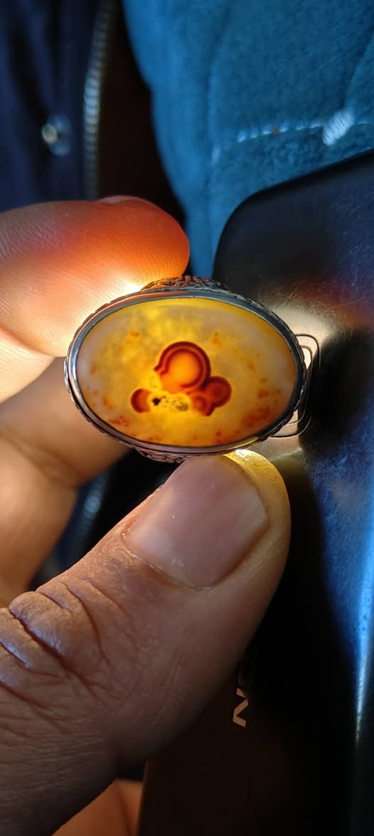 سليماني نوادر عطف
***********
