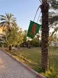 للبيع  3000 متر  كلشي موضح بلصور  بيه منضومه مي  منضومه كامرات  طاقه ش...