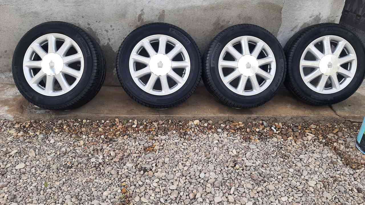 سلام عليكم تخم ويل للبيع عنوان بصره هارثه رقم ***********
