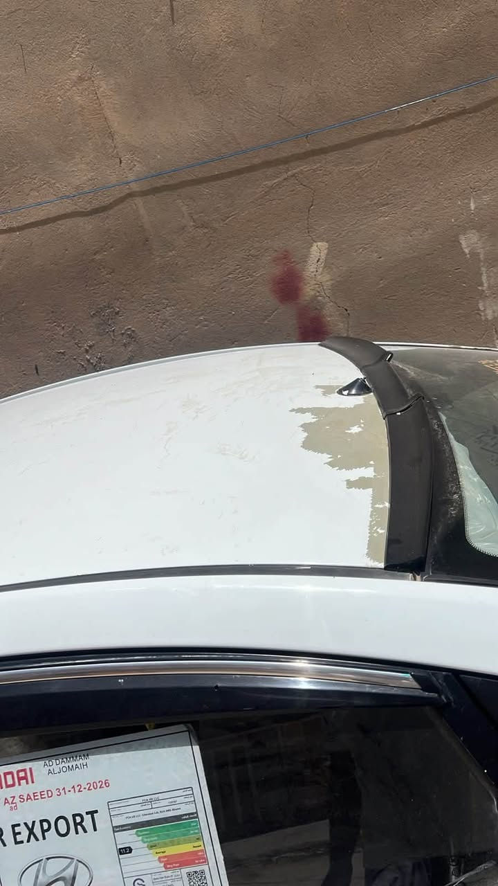 سلام عليكم اكسند خليجي 1600 دوش دبل قطر
مديل 13 

مواصفات فول ماعده فتحه

تحكم استيرن

مري شفط 

اشاير بل مري 

نضام ايكو 

جرس بل 120

شاشاه 

كامره 
مدوشمه ارضيه +تنتا +سفاري وصندوك 
سياره بيها رشت قماره اثر جراد مال فابلون
وموضح جراد قبل رش ف كلشي واضح 
وعندي صورها قبل لا ترش ومن ارشت 

ماشيه 20022 الف 

بيها بارد على كد أربع اصابع بل جاملغ خلفي 

ودوسه مرشوشه صفحت عبري اثر شخوط 

العنوان بغداد قرب صيطره الشعب 

الاتصال 

***********
