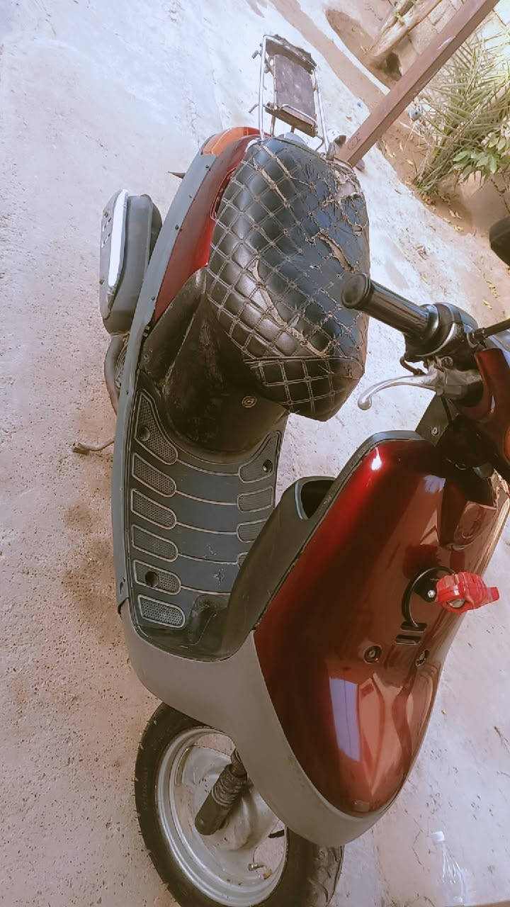 بطة 60 للبيع


**إذا كنت صاحب هذا الإعلان وتريد حذفه لأي سبب، رجاءا أرسل رسالة إلى الدعم الفني**