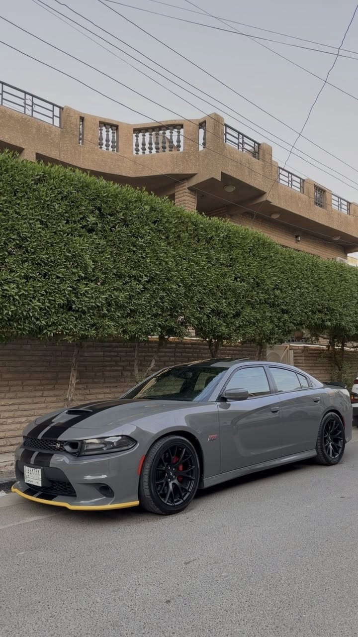 السلام عليكم
جارجر سكات باك 2019 فول مواصفات خليجية وكالة ماشية
47 الف كيلو مو ميل بيها تكحيل فقط بالدعاميه الخلفيه
مواصفاتها معروفه ومحرك 8 سلندر 6400
لون اسمنتي داخل احمر
السعر 298 ورقه قفل
مكاني سيدية/ شارع العلوة
***********
