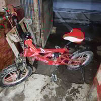 BMX • جبلي • حجم ٢٠