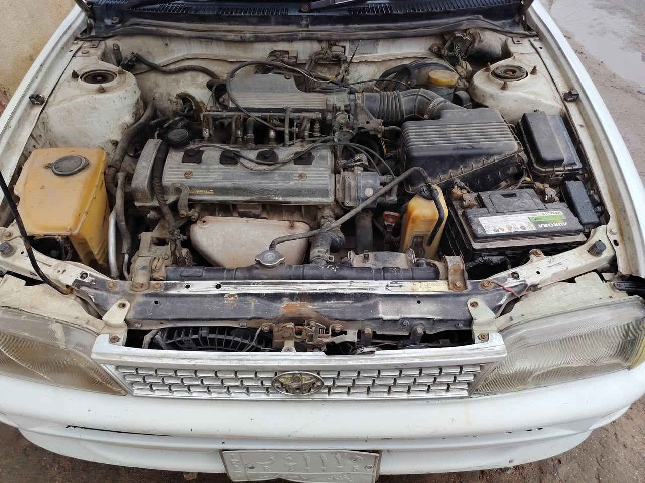 السلام عليكم مورلا مديل ٩٢ سياره بلاديه لاظربه ولاصبغ ماعده كد شبر او اقل سياره كله بلاديه محور مكينه ١٨٠٠ مكينه وكير كفاله بدي على البلاد كهربئيات كله شغاله تبريد شغال ممتاز ارضيه جلد تنته جلد بلاد تم تايرات باتري جديد مشط جديد تظيفات رقم بغداد راعيه يمي وعندي هم وكاله مكفوله من الكص والنغل الجثه حداده جديده بمحرم بدلته سياره جاهزه من كلشي شغل وطلع وين ماتريد ***********  سنويه جديده بعد بيه ٥ سنوات يلا تنتهي مكان السياره البصره المعقل السعر ٥٥
