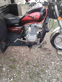 ستوته • ٢٠٢٠ • شرايه