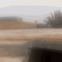 عنانة شارع المنفذ • ٢٥٠م • تطويب ومياه