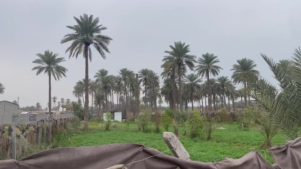 نص دونم ‏الواجهة20 طابو 25 سند تحويل اسهم باسمك في كربلاء شارع ام ام البنين منطقه طنوبه كافه الخدمات مدرسه متوسطه ابتدائيه مدرسه الثاني ماله العباس مباشره عالشارع للمعلومات اتصال/*********** /***********
