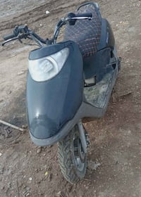 سبيسي • صيني • مراوس