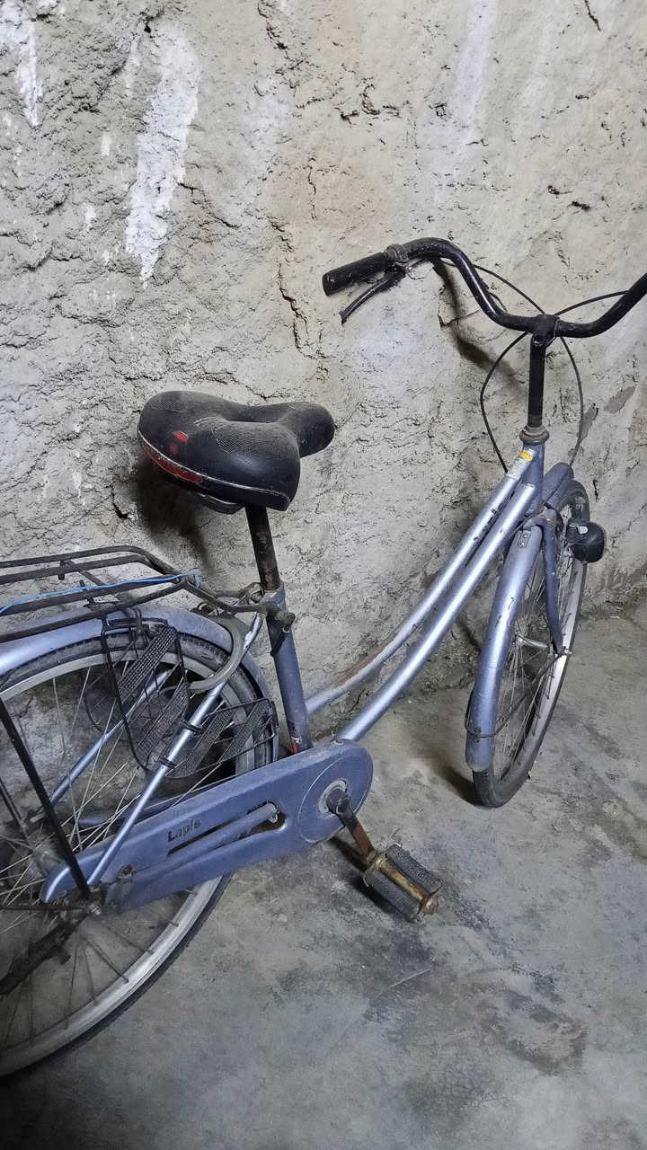 بايسكل ياباني اصلي  كله بلاد شرط مامغير اي شي بي لوك بايسكل سعره 90وبي مجال


**إذا كنت صاحب هذا الإعلان وتريد حذفه لأي سبب، رجاءا أرسل رسالة إلى الدعم الفني**