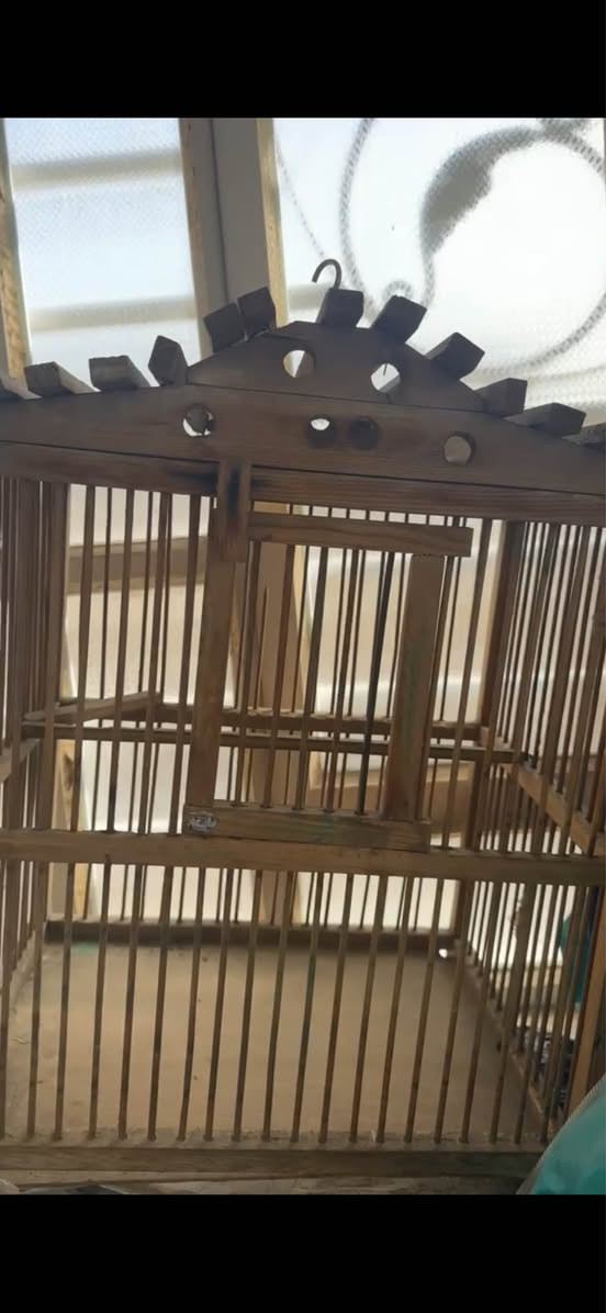 أقفاص بلابل ٢٥ اثنين بغداد يوجد توصيل بغداد, العراق


**إذا كنت صاحب هذا الإعلان وتريد حذفه لأي سبب، رجاءا أرسل رسالة إلى الدعم الفني**