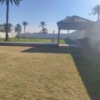 يوجد دوانم طابو ملك صرف وطابو زراعي للبيع منطقة أبي غريب حميد شعبان حس...