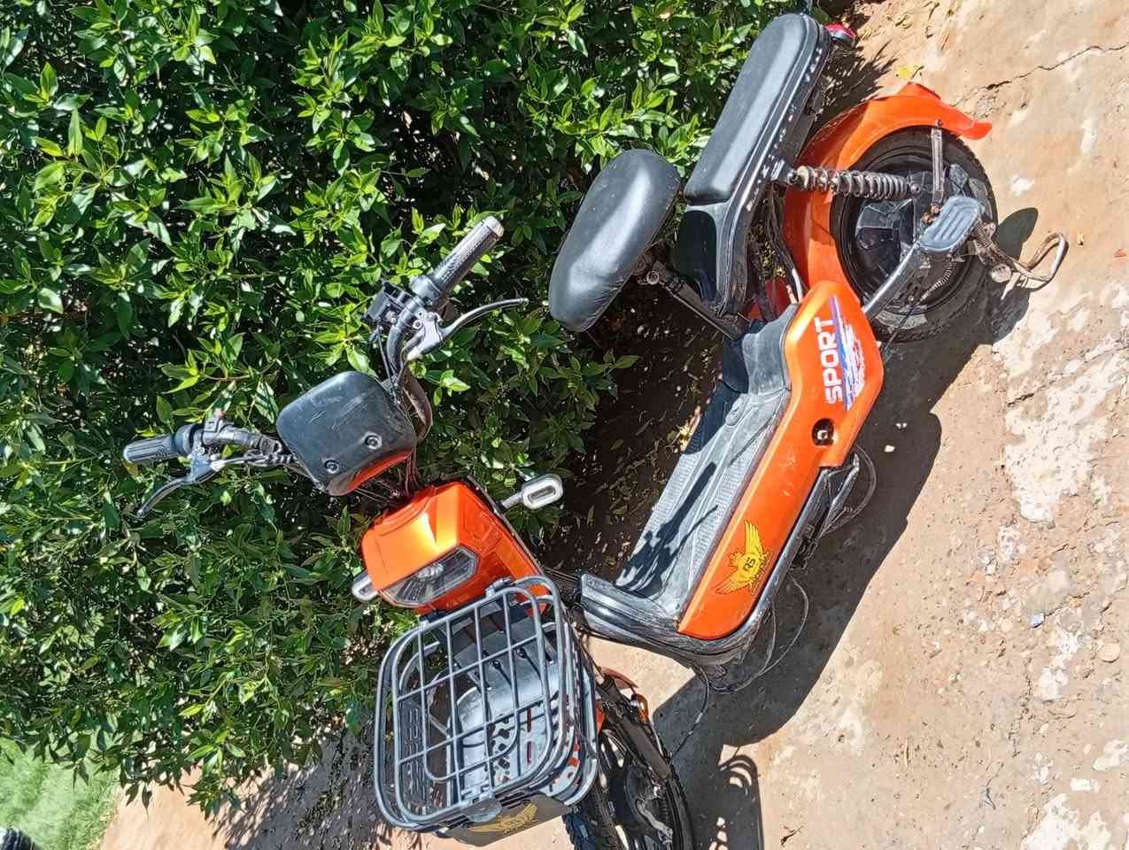 سلام عليكم دراجة شحن حجم 14 جديدة مستخدمة شهرين وعطلت ما اعرف  عطله 325 بيه مجال ديالى المقدادية تقاطع وجيهيه 
***********
***********
