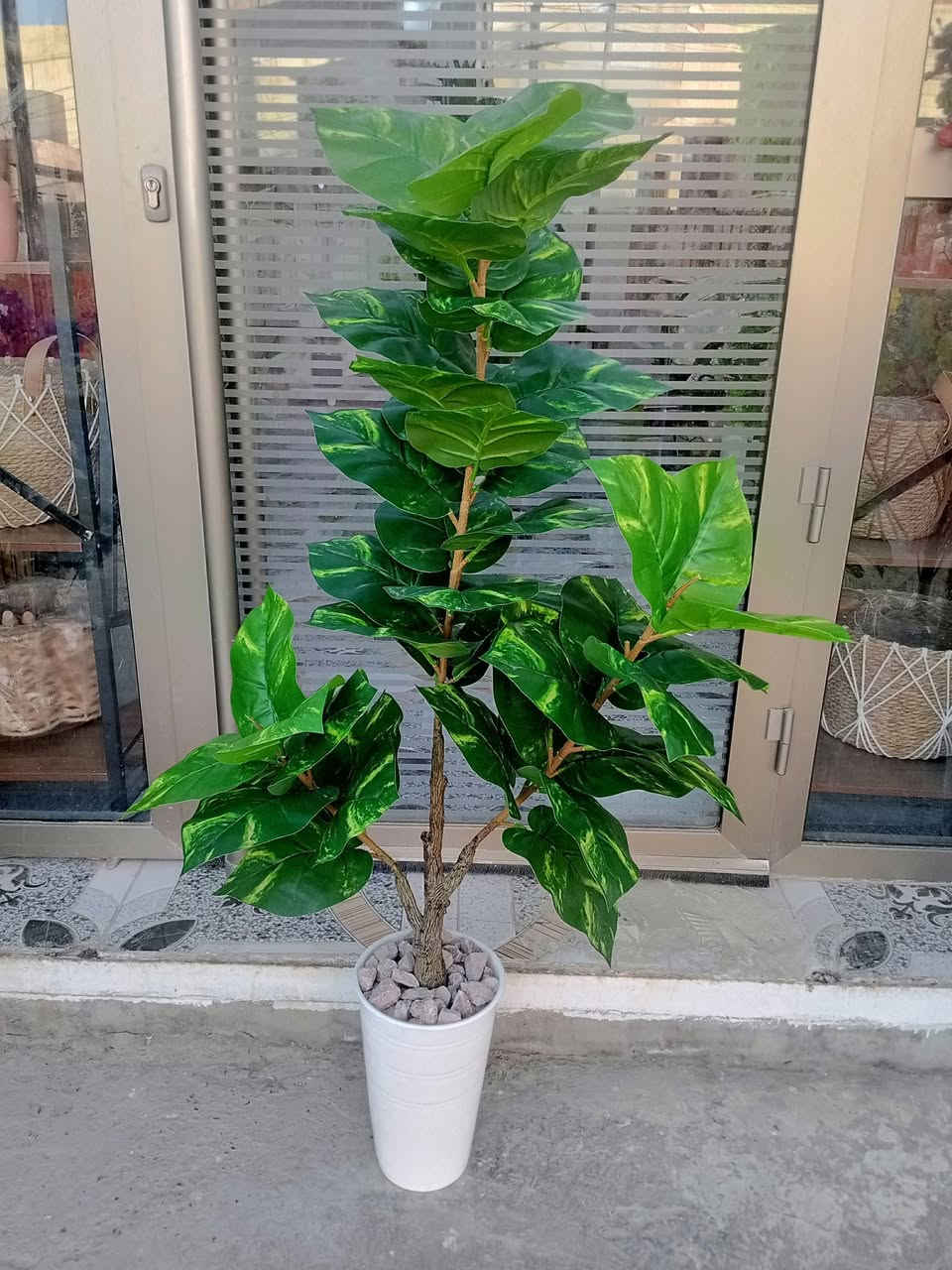 نباتات وأشجار اصطناعية مقاربة كلش للطبيعية 🍃 

متجر #سعفة

موقعنا شارع حي الجمعية الاولى خلف المركز الصحي

متواجدين يوميا من الساعة 3 عصرا حتى الساعة 11 ليلا

#الانبار #هيت


**إذا كنت صاحب هذا الإعلان وتريد حذفه لأي سبب، رجاءا أرسل رسالة إلى الدعم الفني**