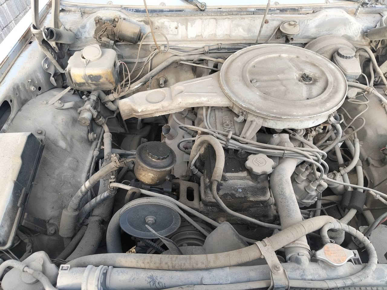 للبيع تويوتا سوبر صالون 1982
🚗 رقم نينوى مميز 851 (ثلاث أرقام)
✅ المحرك شغال وسليم ✅ السيارة مسجلة أصولياً ⚠️ الكير الأوتوماتيك عاطل ويحتاج إلى تصليح أو تبديل
مناسبة للترميم أو للاستخدام بعد إصلاح الكير، ورقمها المميز يزيد من قيمتها.
📍 الموقع: نينوى 💰 السعر: قابل للتفاوض 📞 للاستفسار الاتصال أو المراسلة على الخاص : ‏‪***********‬‏
‏‪***********‬‏
ملاحظة: السيارة تُباع بحالتها الحالية.
