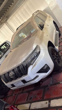 برادو • ٢٠٢٣ • زيرو