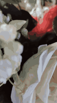 تزين سيارات • أعراس وكوشات • ذي قار قضاء الفجر