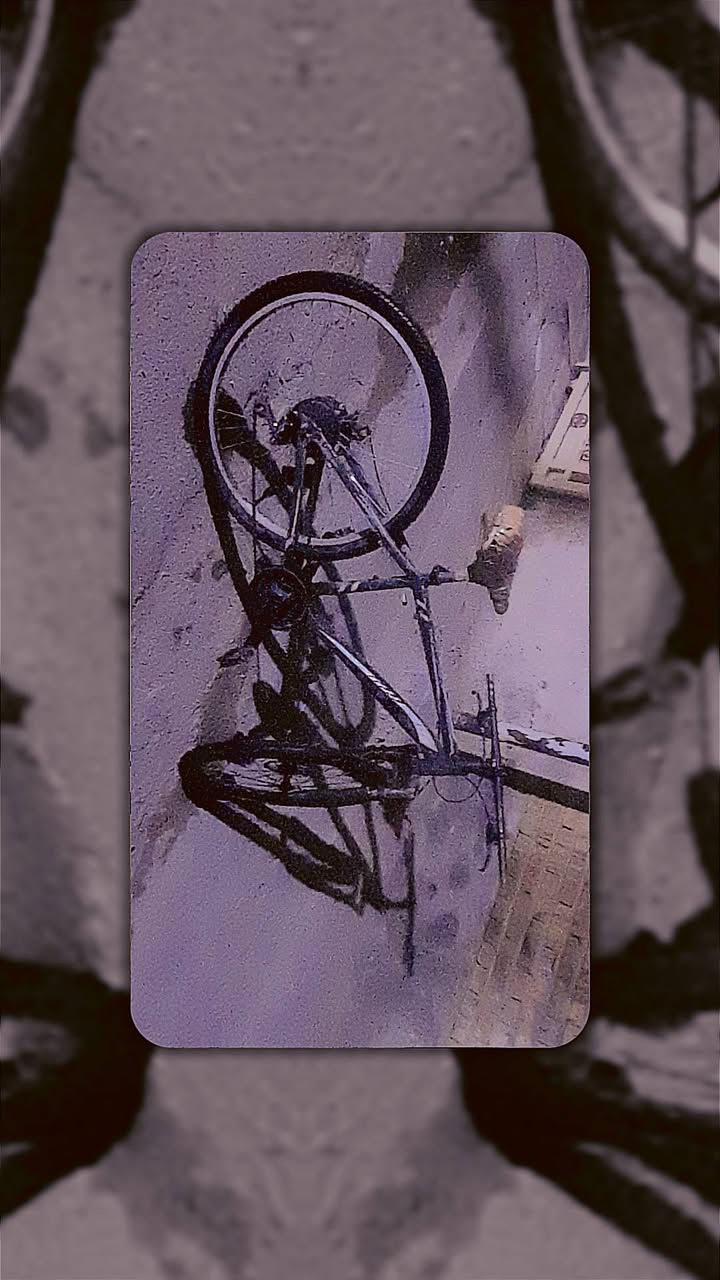 سلام عليكم  باسكل للبيع رياضي جبلي شركة FCJI للبيع ب 40 وبي مجال المكان بغداد +التواصل على الماسنجر


**إذا كنت صاحب هذا الإعلان وتريد حذفه لأي سبب، رجاءا أرسل رسالة إلى الدعم الفني**