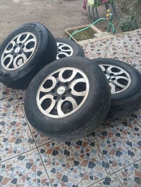 تخم تاير • ويل • بابل الحصوه