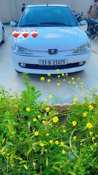 ٣٠٦ فرنسي • ٢٠٠٢ • رقم بغداد