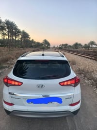 توسان فول • بصمة • رقم بغداد