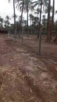 طابو زراعي • ١٠٠٠م • المناكيش