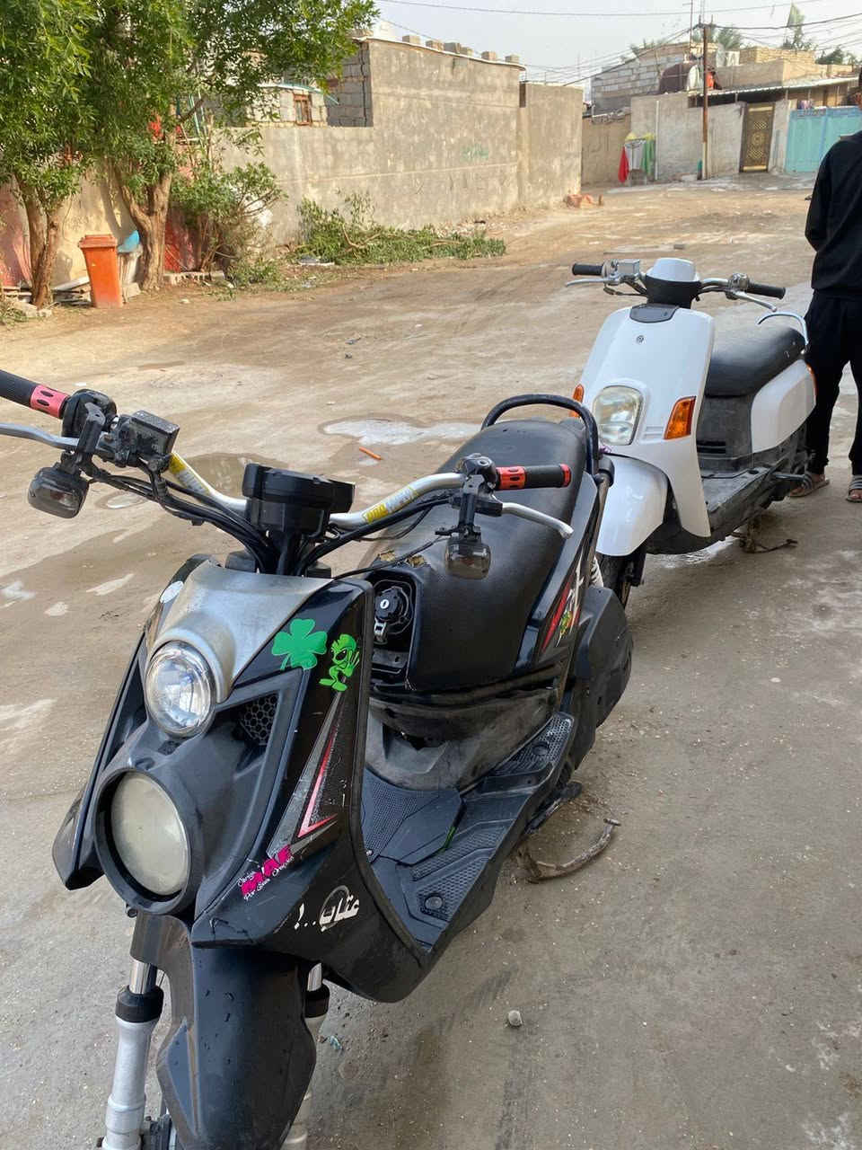 سلام عليكم سكنس جبلي بوشه 58
للبيع مستعجل عليه مو شراي لا تراسلني 
مكاني كربلاء حي العامل
رقم ***********
