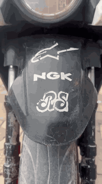 سلام عليكم سكنس جبالي مال رمبه مكفوله كفاله بغداد زعفرانيه سعرها ٩٥٠ خادم الطيبين رقم ***********
